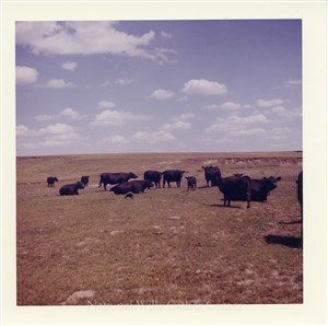 Image description is not available for PHO-4-W689-642